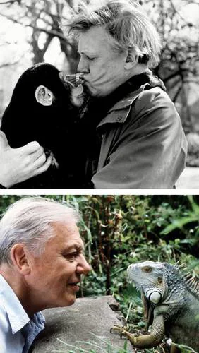 David Attenborough celebra su centenario con reconocimiento global