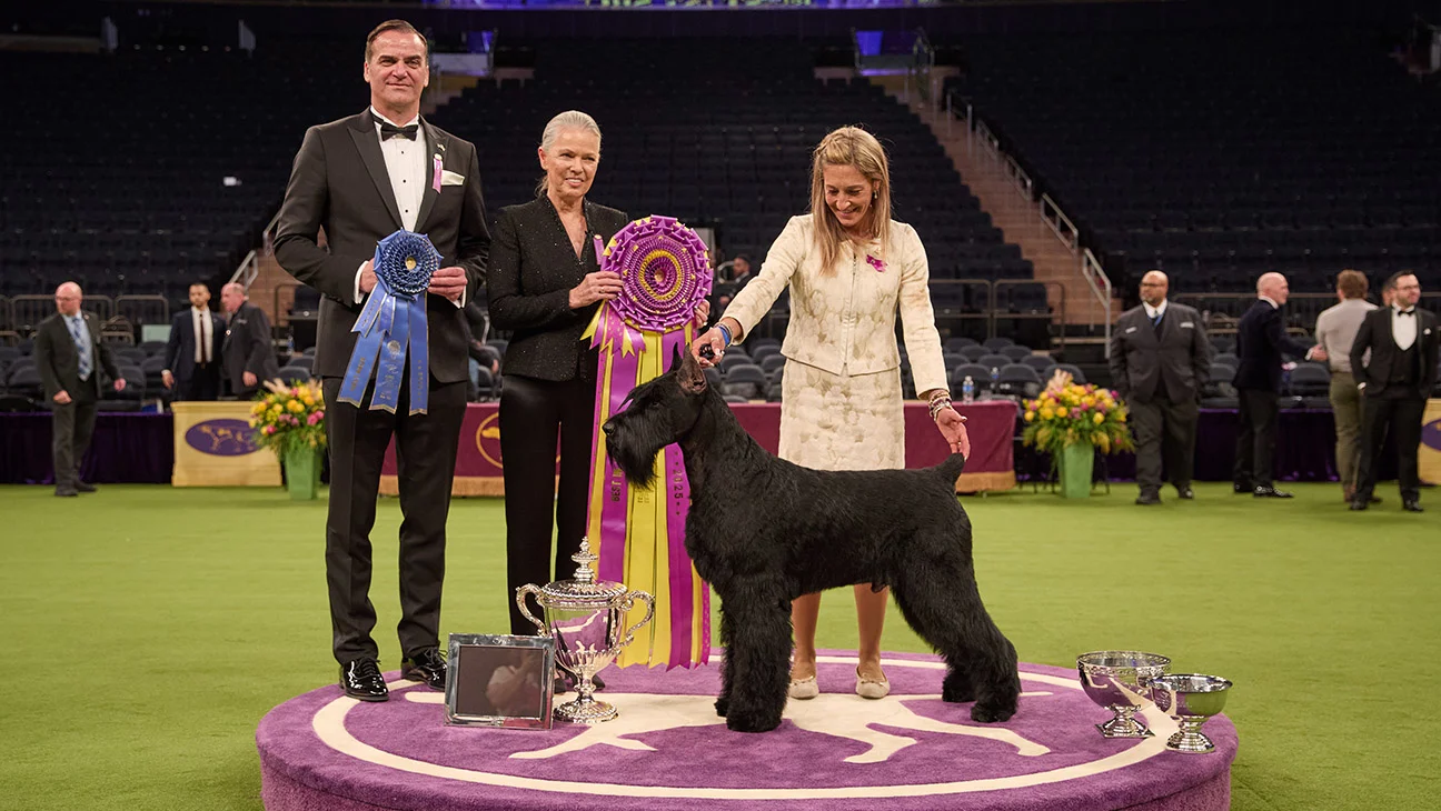 Netflix será el nuevo hogar del Westminster Dog Show a partir de 2027