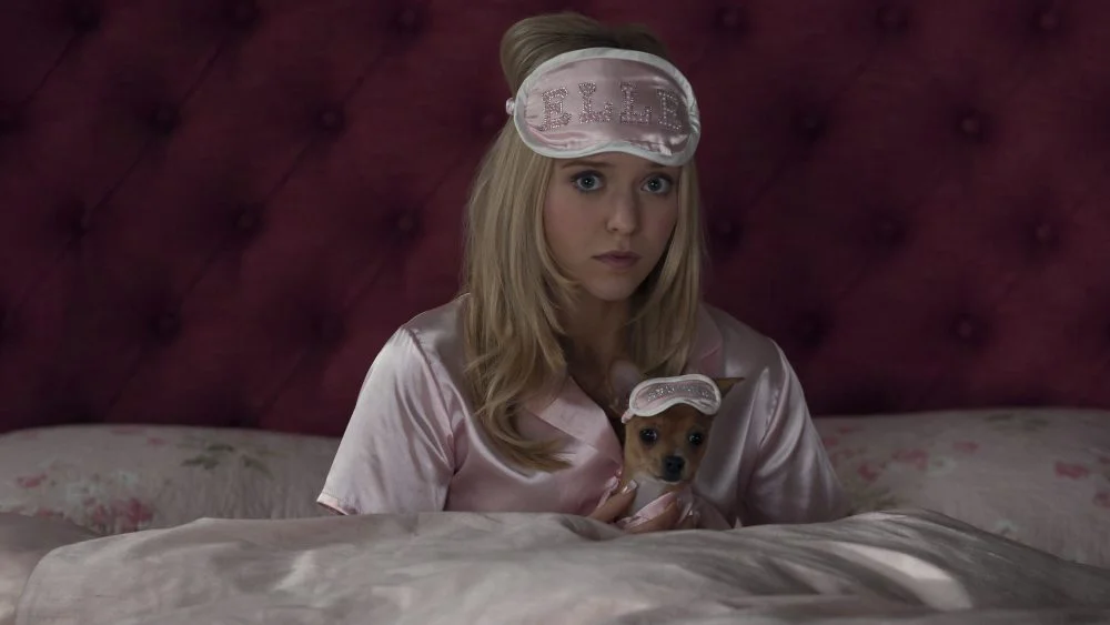 Jason Moore revela detalles de la precuela 'Elle' de Legally Blonde