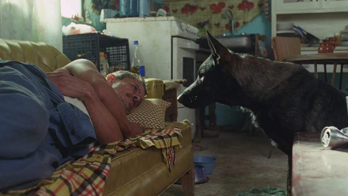Película mexicana 'Morro' debutará en el Festival de San Sebastián